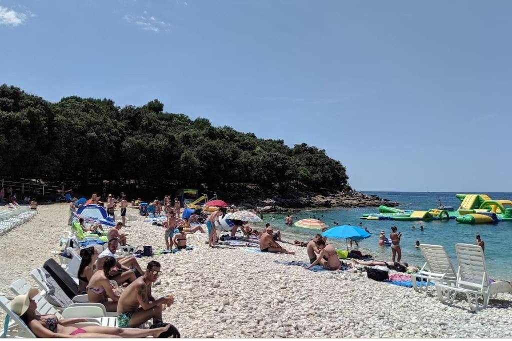 Apartman Leda Póla